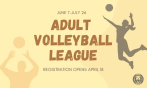 NEW Adult Volleyball!