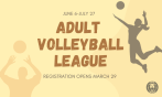Adult Volleyball