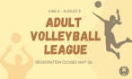 Adult Volleyball