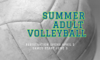 Summer Adult Volleyball 